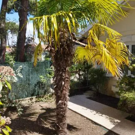 Villa Garden Near Beach Wifi Air Conditioning Arcachon